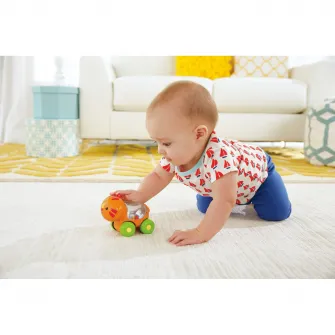 Jucarie Fisher Price - Poppity pop, Tigru
