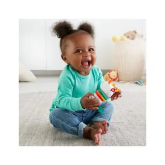 Jucarie zornaitoare Fisher Price - Lama