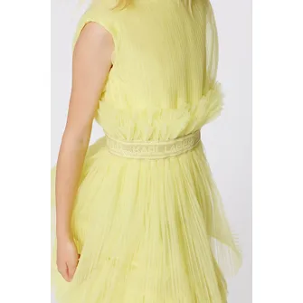 KARL LAGERFELD KIDS, Rochie evazata cu aplicatii cu tul, Galben, 162 CM