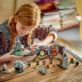 LEGO® Harry Potter™ - Coliba lui Hagrid: o vizita neasteptata 76428, 896 piese