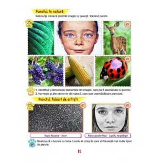 Manual AVAP pentru cls. a II-a - Adina Grigore, Augustina Anghel, Claudia Daniela Negritoiu