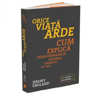 Orice viata arde. Cum explica termodinamica originea oricarei forme de viata, Jeremy England