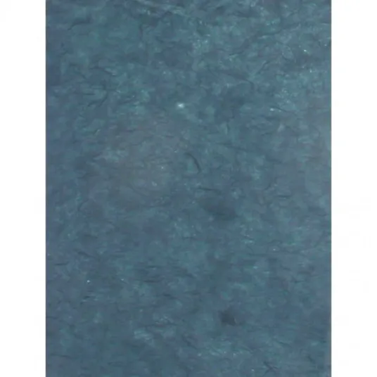 Pachet 10 coli hartie artizanala din lemn de dud, Clairefontaine, 25 g/mp, 65x95cm, Negru
