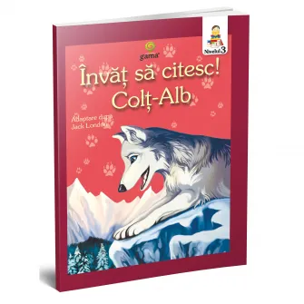 Pachet pentru copii, Invat sa citesc pentru cititori fluenti, 8-10 ani, vol.4, 5 carti