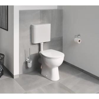 Perie WC Grohe BauCosmopolitan, fixare perete ascunsa, sticla/crom