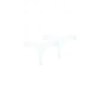 Puma, Set de chiloti tanga fara cusaturi - 2 perechi, Alb, M