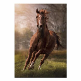 Puzzle Clementoni - Calul, 1500 piese