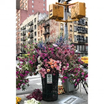 Puzzle Ravensburger - Moment, Flori in New York, 300 piese