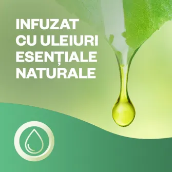 Rezerva odorizant de camera spray automat fara aerosoli Air Wick, Buchet de Iasomie, 228ml