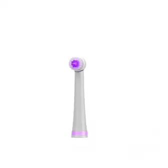 Rezerva periuta de dinti electrica Dr. Mayer RBH10K-P, compatibila cu GTS1000K-P, 2 buc
