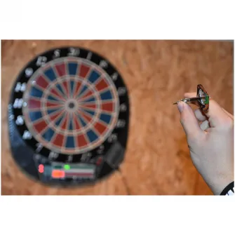 Sageti darts Sunflex Aggressor