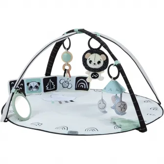Salteluta cu activitati Tiny Love - Classic