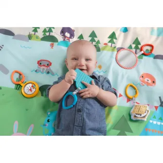 Salteluta de activitati Fisher Price - Extra Big Adventures
