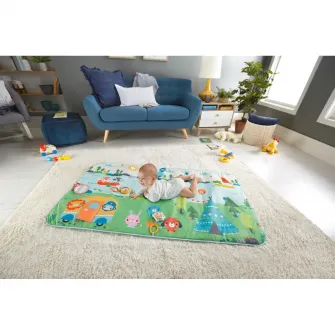 Salteluta de activitati Fisher Price - Extra Big Adventures