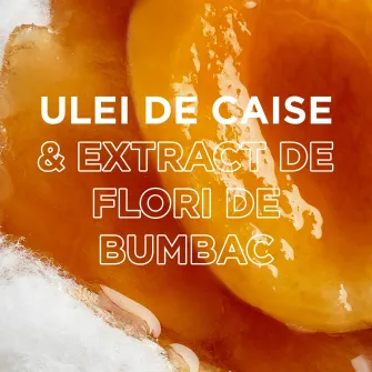 Sampon pentru copii Garnier Botanic Therapy Disney Kids cu ulei organic de caise si extract de flori de bumbac, 250 ml