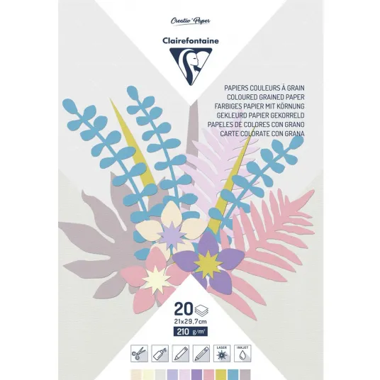 Set 20 coli hartie A4 Clairefontaine, color, embosata 210g/mp, 10 culori