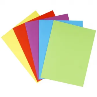 Set 25 Dosar carton 210g/mp Exacompta Rocks, Buzunare interioare pe ambele coperti, A4, 5 Culori asortate Albastru,Galben lamaie,Rosu,Verde,Violet