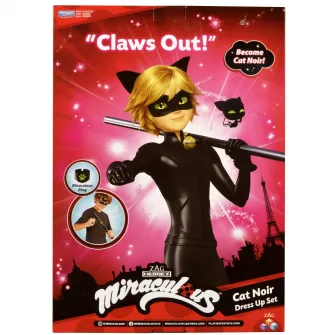 Set accesorii Miraculous - Cat Noir