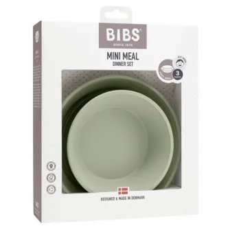 Set pentru diversificare si hranirea bebelusului BIBS Sage