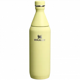 Sticla termos Stanley The All Day Slim Bottle 0.6L, 10-12069-119, galben