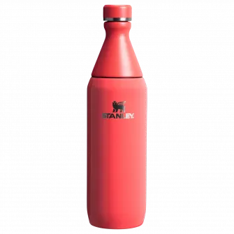 Sticla termos Stanley The All Day Slim Bottle 0.6L, 10-12069-120, corai