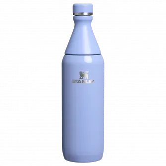 Sticla termos Stanley The All Day Slim Bottle 0.6L, 10-12069-121, bleu