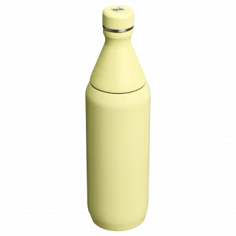 Sticla termos Stanley The All Day Slim Bottle 0.6L, 10-12069-119, galben