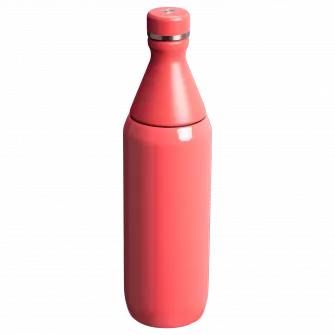 Sticla termos Stanley The All Day Slim Bottle 0.6L, 10-12069-120, corai
