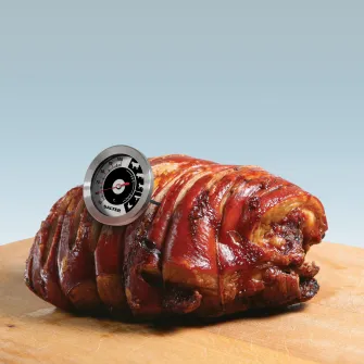Termometru analog carne Salter, 50°C - 100°C