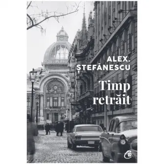 Timp retrait, Alex Stefanescu