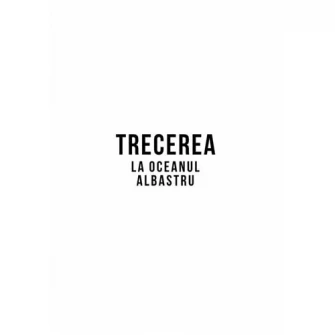 Trecerea la oceanul albastru, Renee Mauborgne, W. Chan Kim