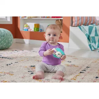 Zornaitoare Fisher Price - Arici