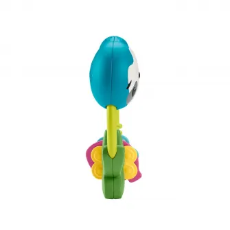 Zornaitoare Fisher Price - Lenes