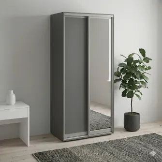 Dulap Cupe Fenix cu 2 usi, 1 PAL + 1 Oglinda, Antracit, 100x60x220 cm