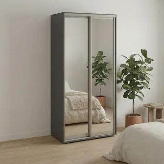 Dulap Cupe Fenix cu 2 usi, 2 Oglinda, Antracit, 120x60x240 cm