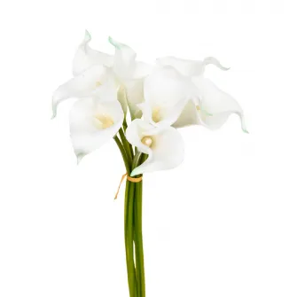Buchet ARUM BLANC H36