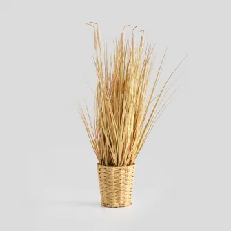 Buchet decorativ BASTOE