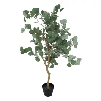 Compozitie florala EUCALYPTUS H127