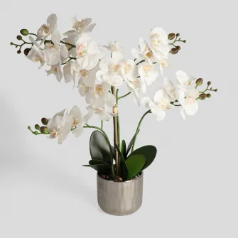 Compozitie florala ORCHIANOS