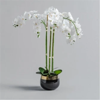 compozitie florala ORCHIDA