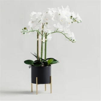 compozitie florala ORCHIDANOS