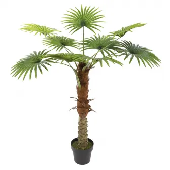 Compozitie florala PALMIER H120