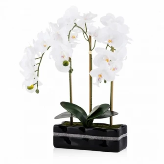 Floare decorativa orhidee ORCHIANUM DIAM