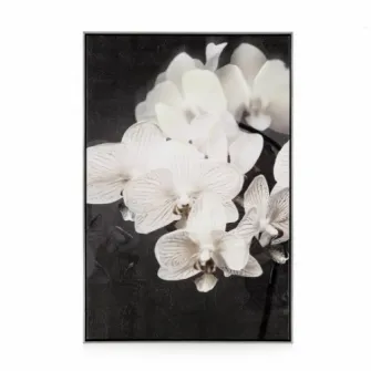 Tablou ORCHIDES