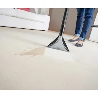 Aspirator cu spalare Karcher SE5 (1.081-230.0)