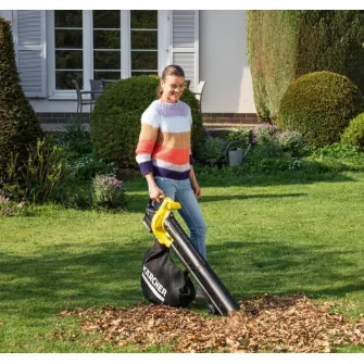 Aspirator-suflator de frunze Karcher BLV 18-200 (1.444-100.0)