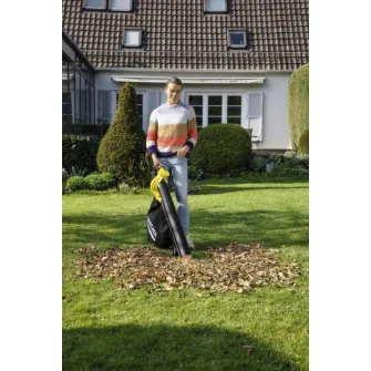 Suflanta de aer Karcher BLV 18-200 Battery + Kit