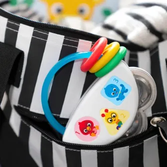 Jucarie cu sunatoare Baby Einstein Tiny Tambourine (12925)