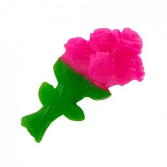 Set Barbie Florarie