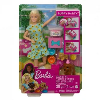 Set Barbie Petrecerea сateilor
